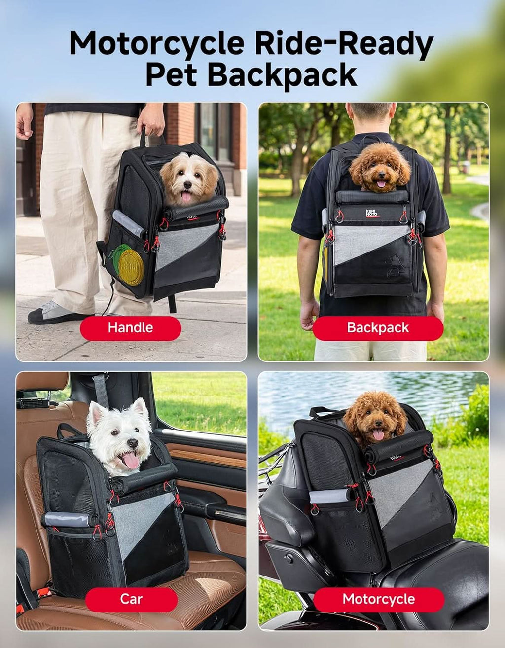 Expandable Motorcycle Dog Carrier for Small Dogs & Cat